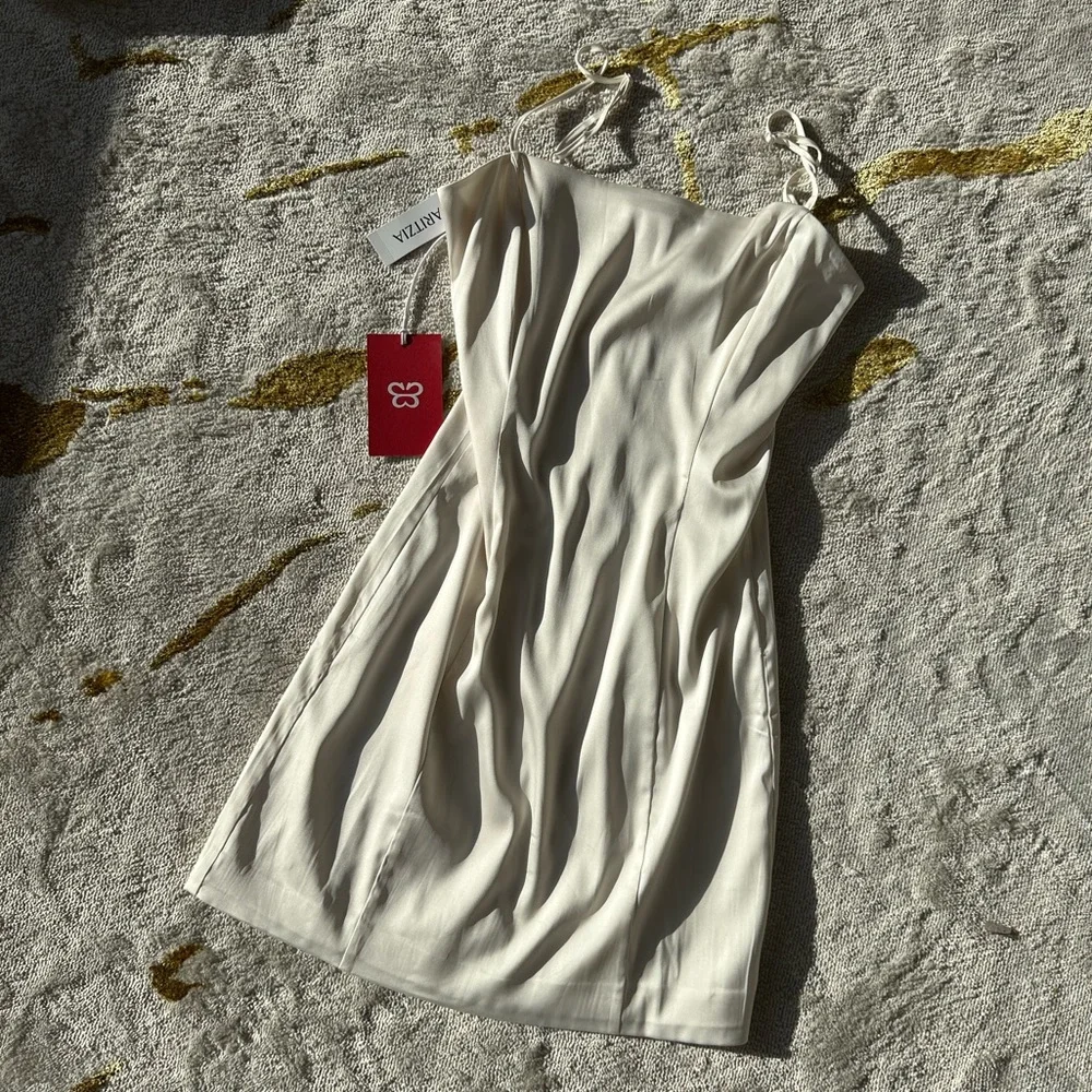 Aritzia Fits size Xs-S Aritzia Perfect Silky Mini Dress - Picture 2 of 10